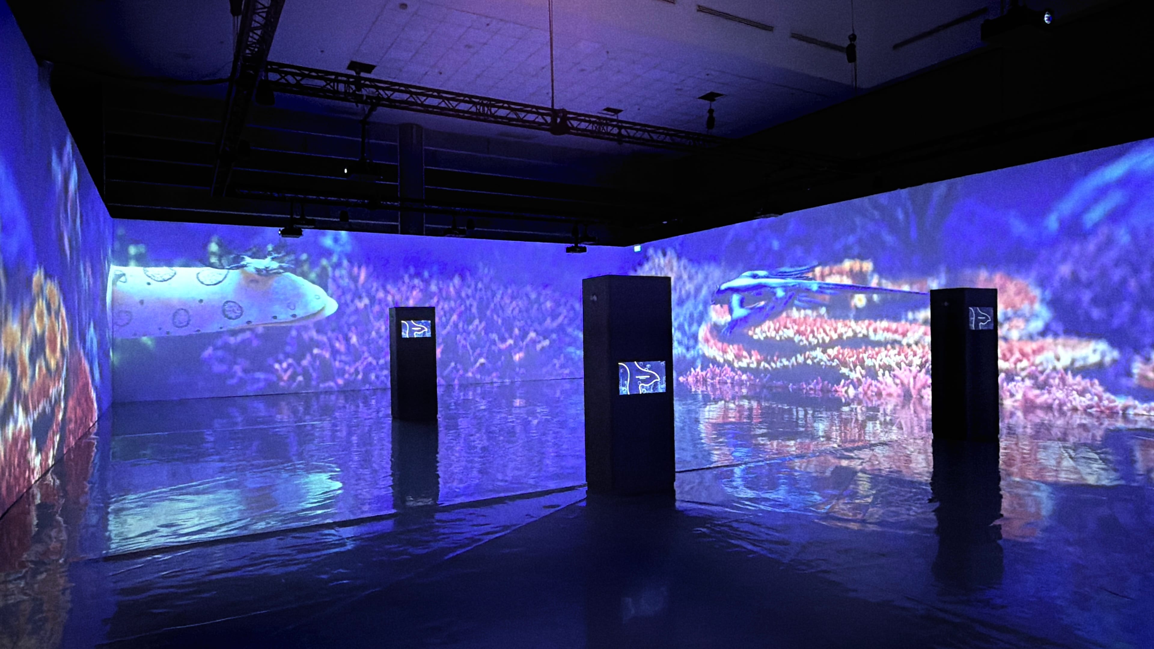 Photo of the 7 Wonder of the Ocean 360 degree projection space